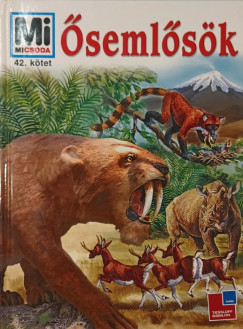 Christian Spaeth - semlsk