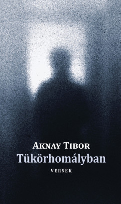 Aknay Tibor - Tükörhomályban