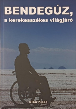 Nagy Bendegúz - Bendegúz, a kerekesszékes világjáró