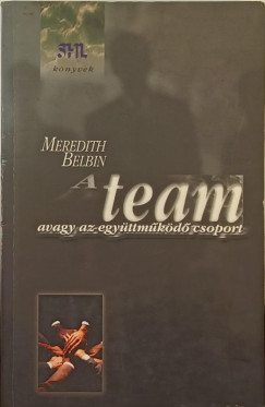 Meredith Belbin - A team