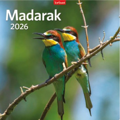 Madarak - Tartalmas Lemeznaptr - 58x29 cm - 2026