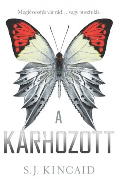 S. J. Kincaid - A krhozott