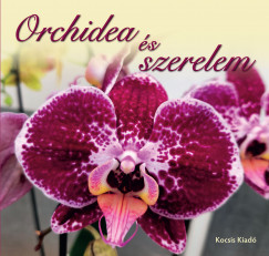 Orchidea s szerelem
