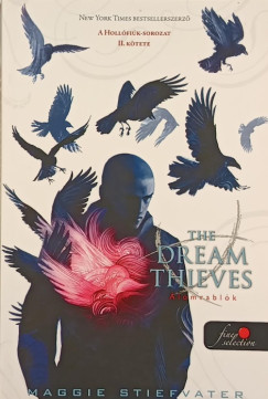 Maggie Stiefvater - The Dream Thieves - lomrablk