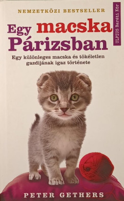 Peter Gethers - Egy macska Prizsban