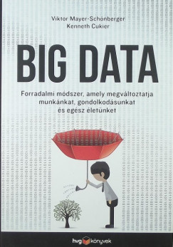 Kenneth Cukier - Viktor Mayer-Schnberger - Big Data