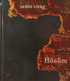 Erds Virg - Hsm