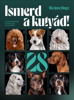 Hangai Lilla - Molnr Enik - Sznsi Szimonetta - Ismerd a kutyd!