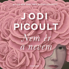 Jodi Picoult - Nem ér a nevem