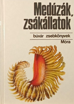 Bába Károly - Medúzák, zsákállatok