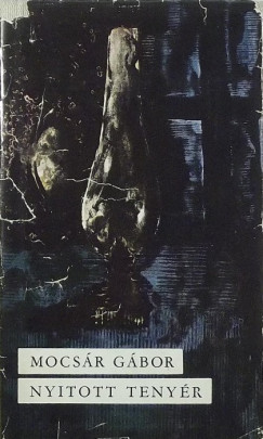 Mocs�r G�bor - Nyitott teny�r