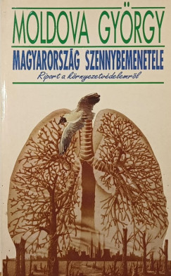 Moldova Gyrgy - Magyarorszg szennybemenetele