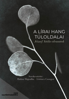 Halsz Hajnalka   (Szerk.) - Lrincz Csongor   (Szerk.) - A lrai hang tloldalai