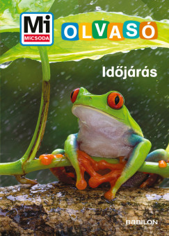 Christina Braun - Időjárás - Mi Micsoda Olvasó