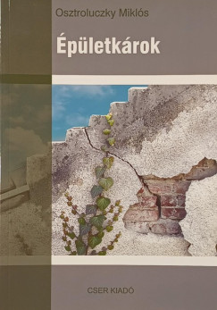 Osztroluczky Miklós - Épületkárok