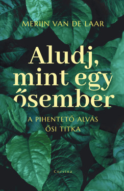 Merijn Van De Laar - Aludj, mint egy sember  A pihentet alvs si titka