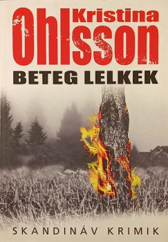 Kristina Ohlsson - Beteg lelkek