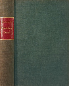 Kosztolányi Dezsőné - Kosztolányi