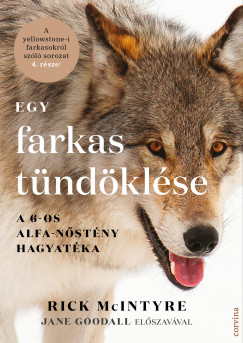 Egy farkas t�nd�kl�se - A 6-os alfa-n�st�ny hagyat�ka