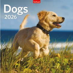 Dogs - Lemeznaptr - 58x29 cm - 2026