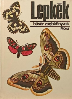 Kalmár Zoltán - Lepkék
