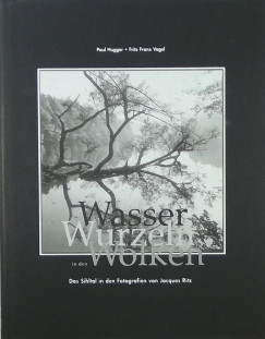 Paul Hugger - Fritz Franz Vogel - Wasser, Wurzeln in den Wolken