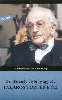 Kandinszky - Dr. Schmidt Attila - Dr. Brndy Gyrgy gyvd talros trtnetei