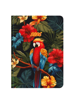 Flexi papagj - B/6 heti naptr - 2026