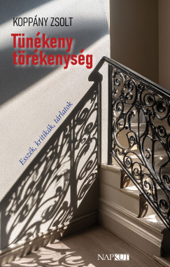 Koppny Zsolt - Tnkeny trkenysg