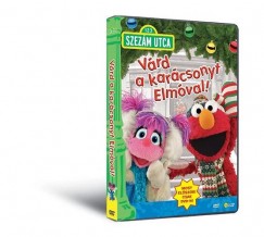 Szezm utca - Vrd a karcsonyt Elmval! - DVD