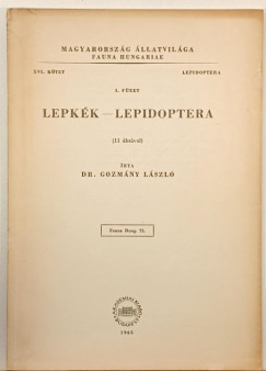 Lepkk - lepidoptera