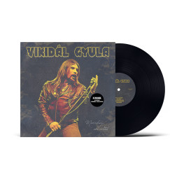 Vikidál Gyula - Maradsz, aki voltál újrakiadás (P. Mobil dalok Vikidál Gyulával) - LP