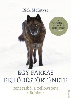 Rick Mcintyre - Egy farkas fejldstrtnete