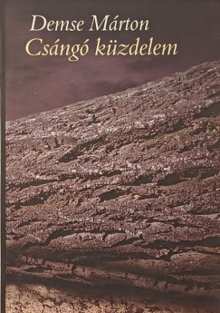 Demse Márton - Csángó küzdelem