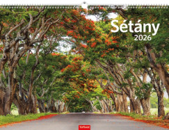 S�t�ny falinapt�r 42x31 cm - 2026