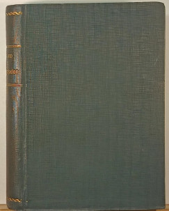H. Rider Haggard - A gy�ngyhajadon