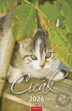 Cicák falinaptár - 21x32 cm - 2026
