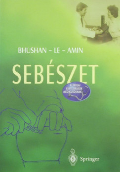 Chirag Amin - Vikas Brusham - Tao Lee - Sebszet
