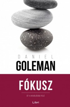Daniel Goleman - Fkusz