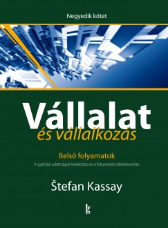 Stefan Kassay - Vllalat s vllalkozs IV. - Bels folyamatok