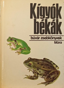 Janisch Mikls - Kgyk, bkk