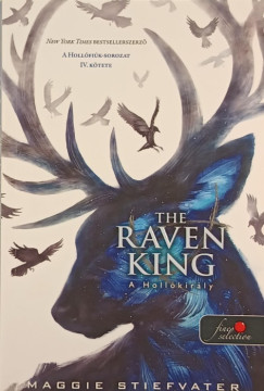 Maggie Stiefvater - The Raven King - A Hollkirly