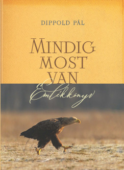 Dippold Pl - Mindig most van