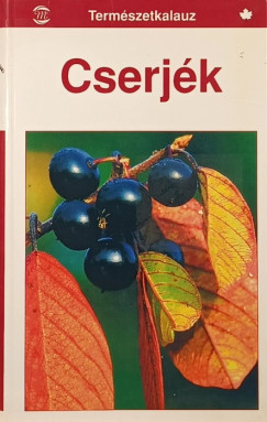 Gnther Steinbach - Cserjk