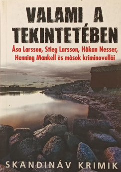 John-Henri Holmberg   (Szerk.) - Valami a tekintetben
