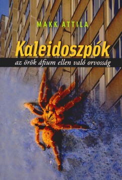 Makk Attila - Kaleidoszpk