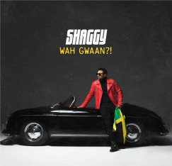 Shaggy - Wah Gwaan?! - CD