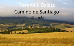 Teremi J. Balzs - Camino de Santiago - tinapl