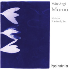 Mt Angi - P. Kristly Bea - Mam