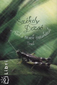 Szkely Dezs - Ahol a tcsk jszakzik